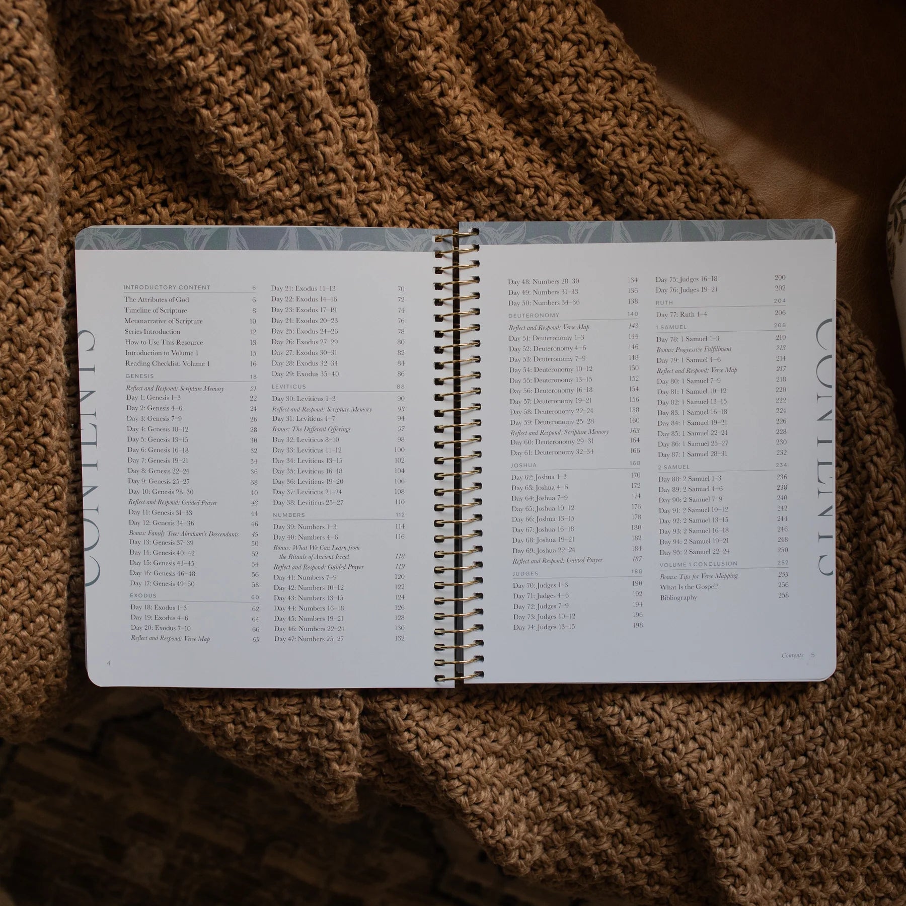 A Year in the Bible | Volume 1