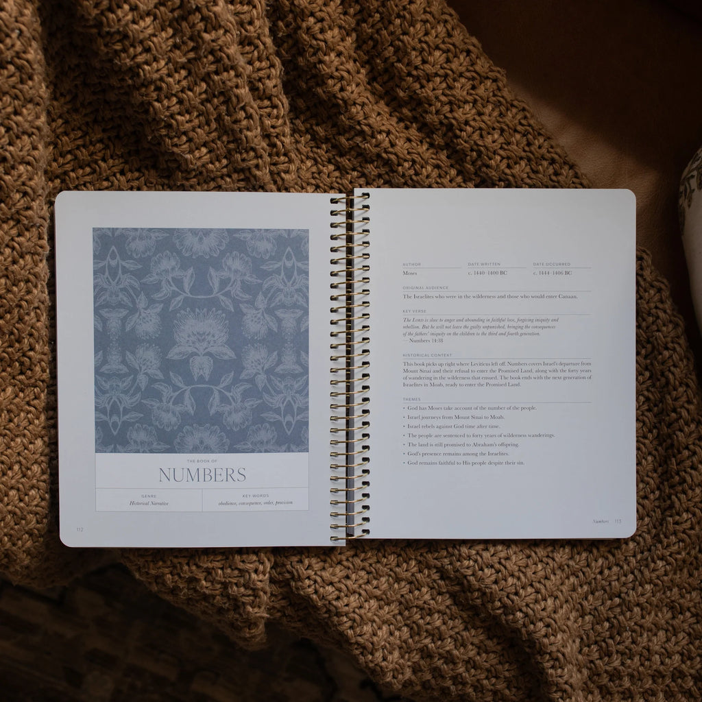 A Year in the Bible | Volume 1