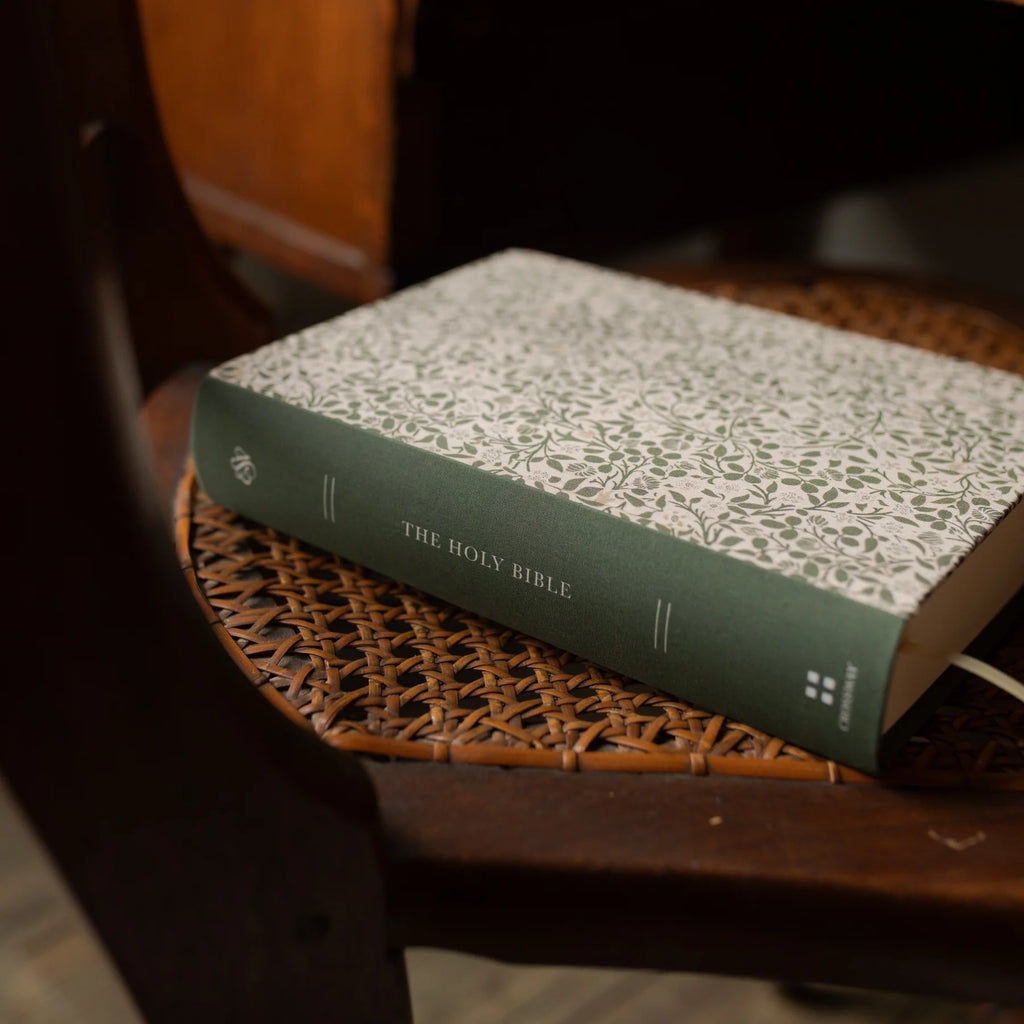 ESV Single Column Journaling Bible - Clover