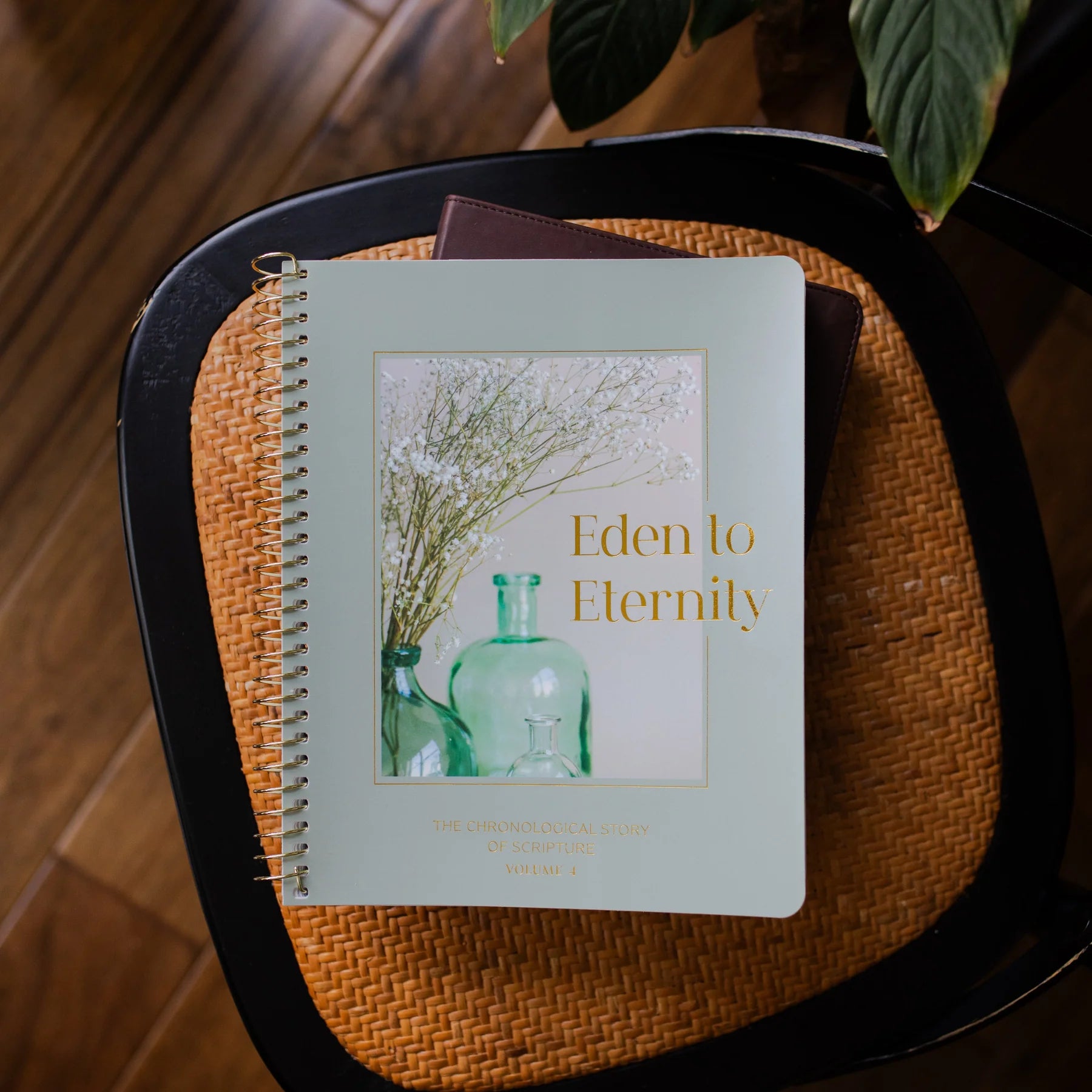 Eden to Eternity | The Chronological Story | Volume 3