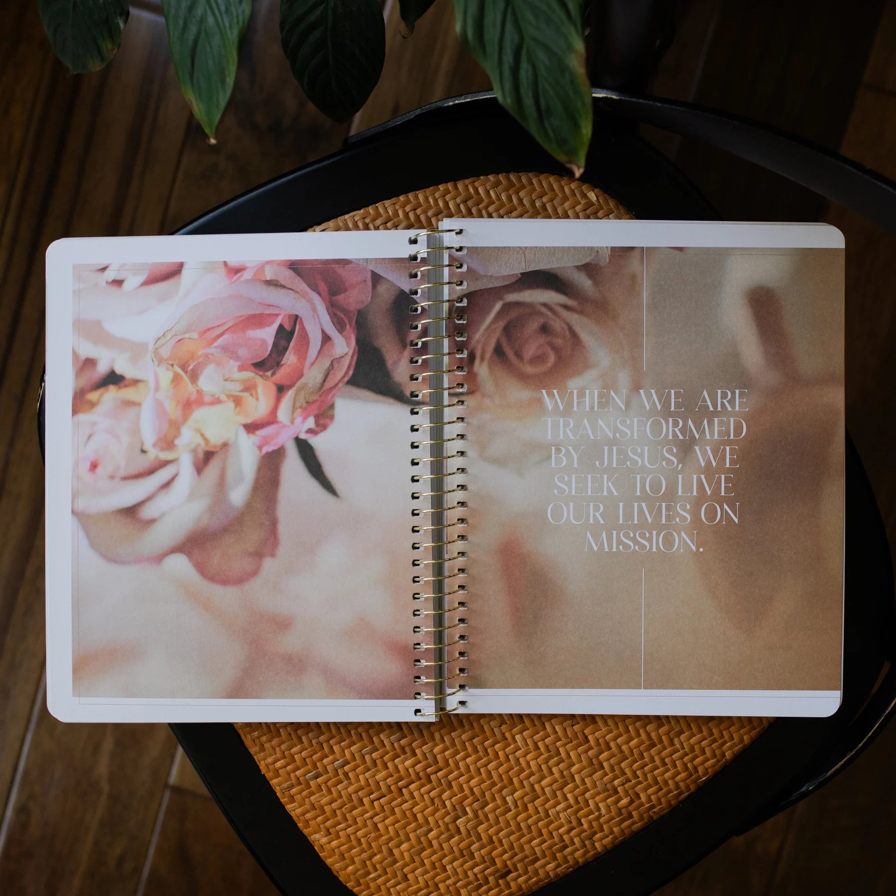 Eden to Eternity | The Chronological Story | Volume 3