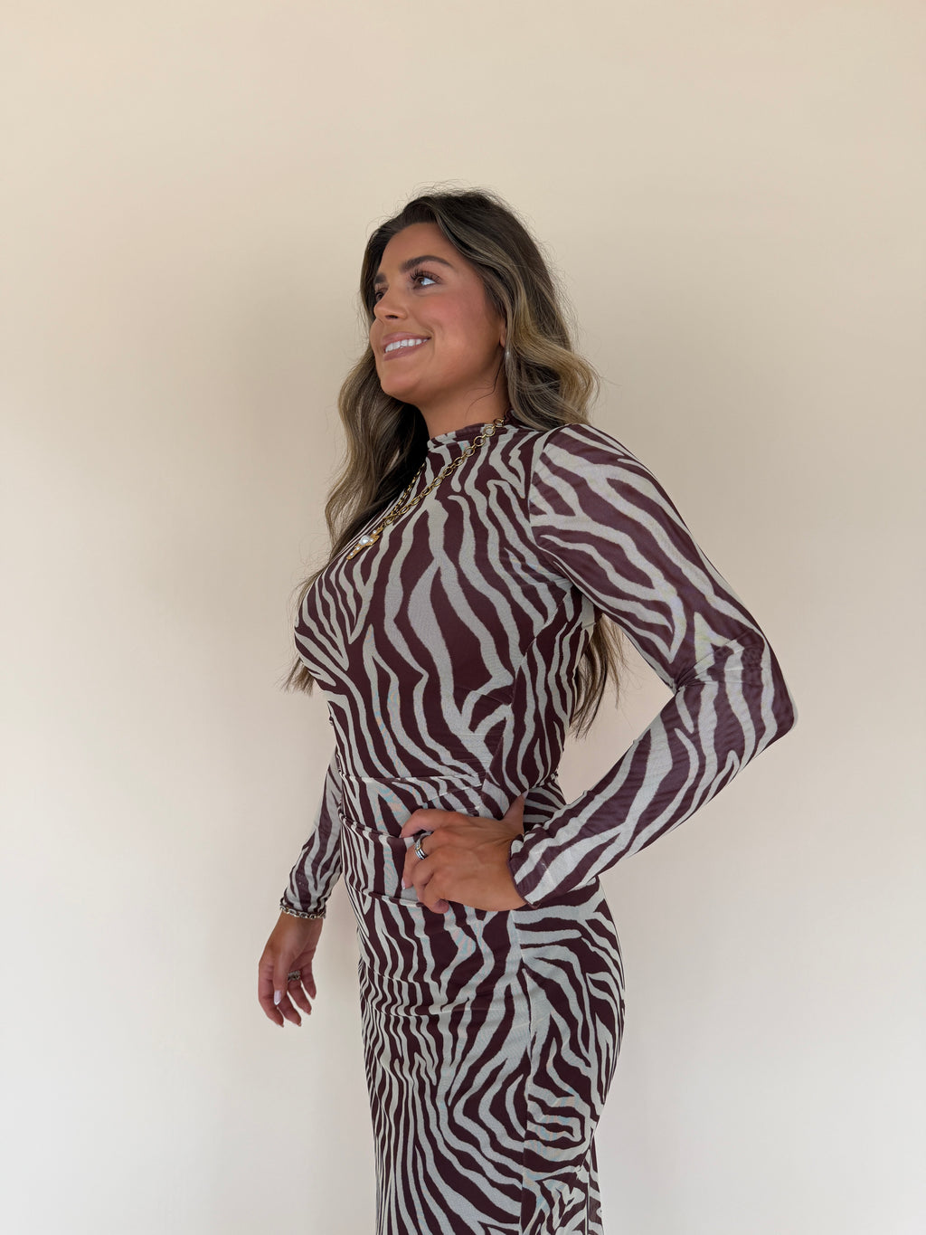 Sevilla Zebra Mesh Midi Dress