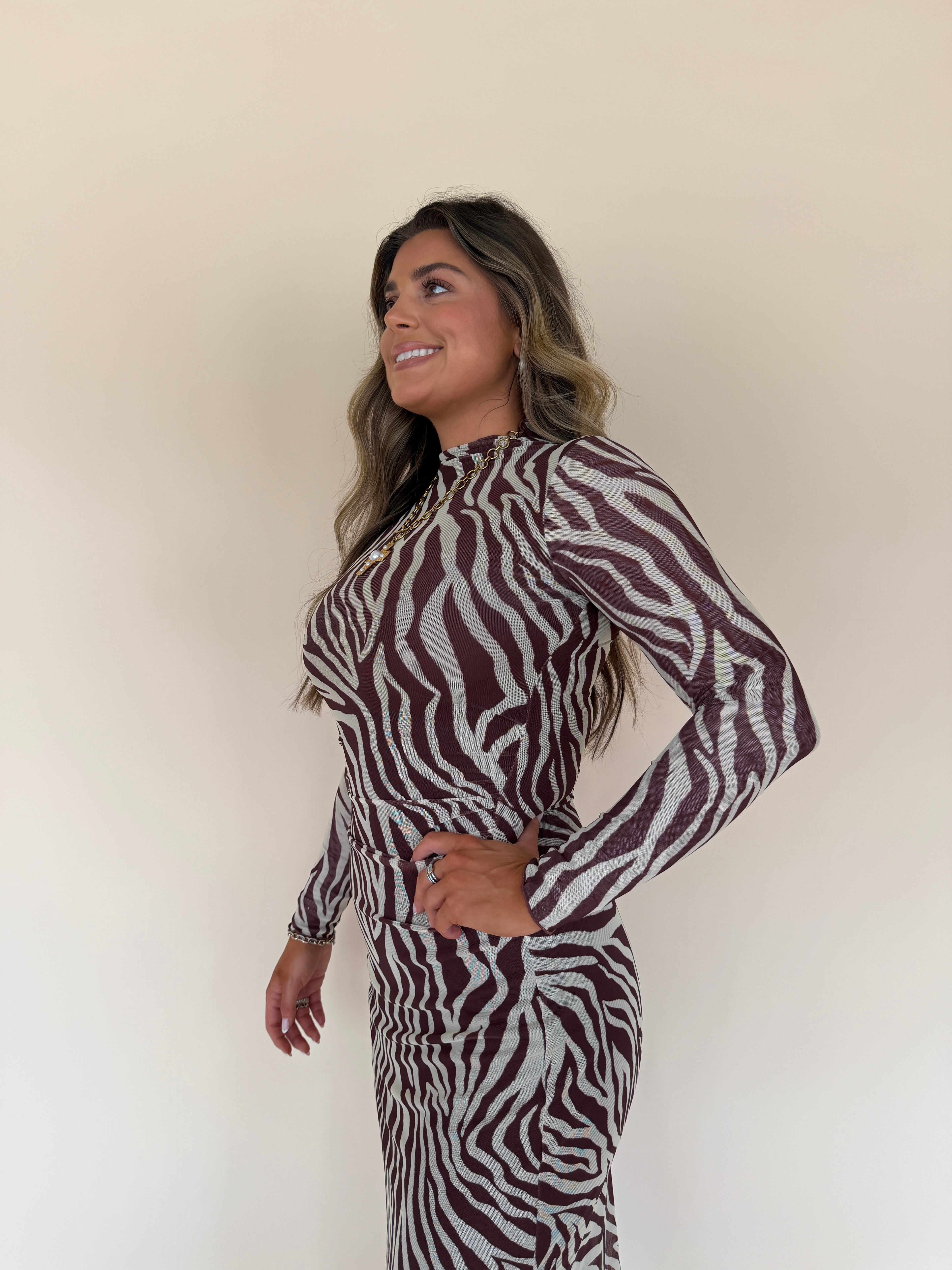 Sevilla Zebra Mesh Midi Dress