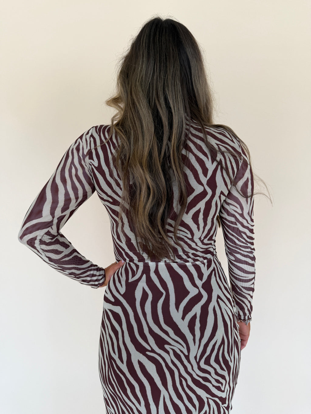 Sevilla Zebra Mesh Midi Dress