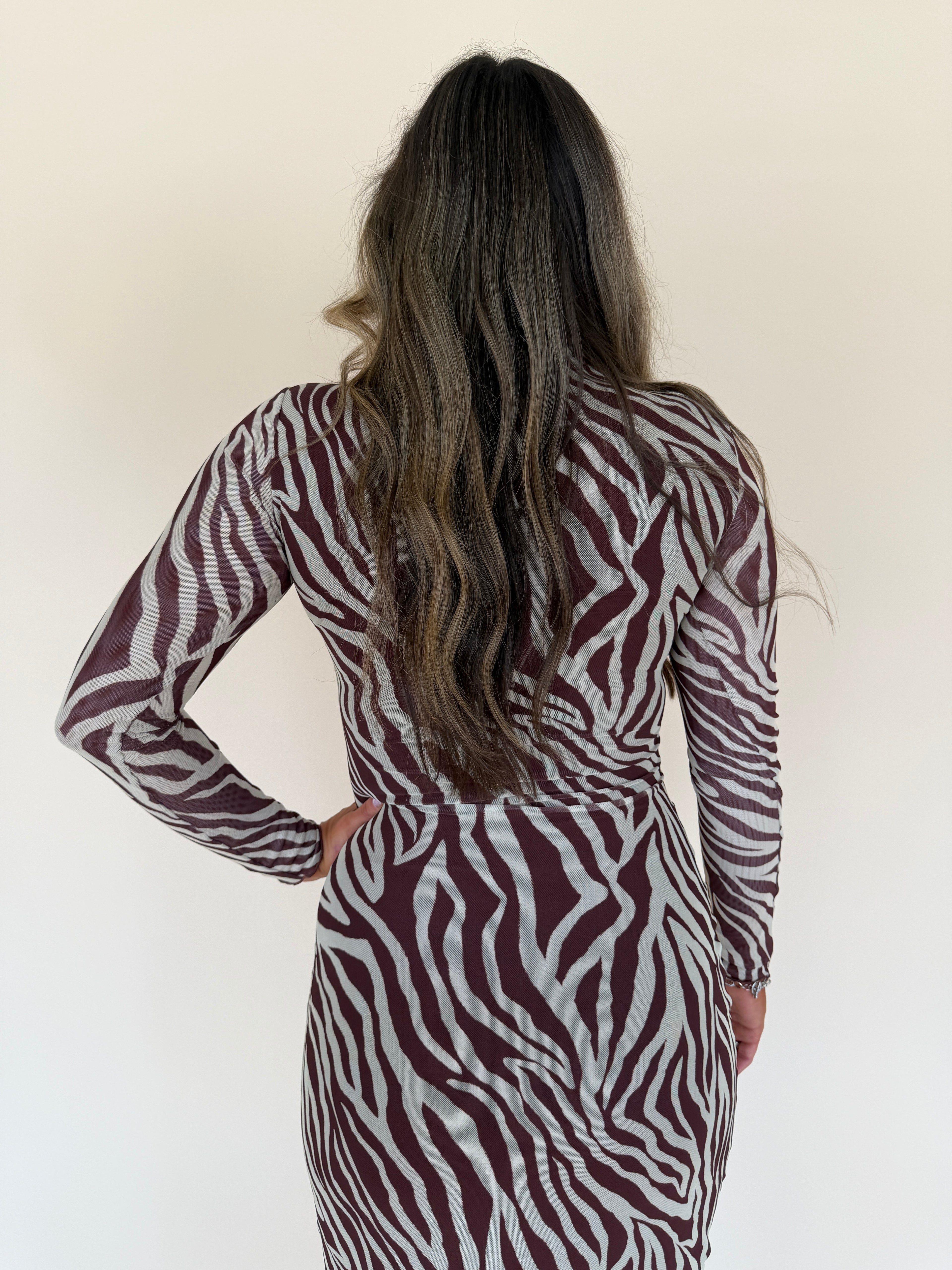Sevilla Zebra Mesh Midi Dress