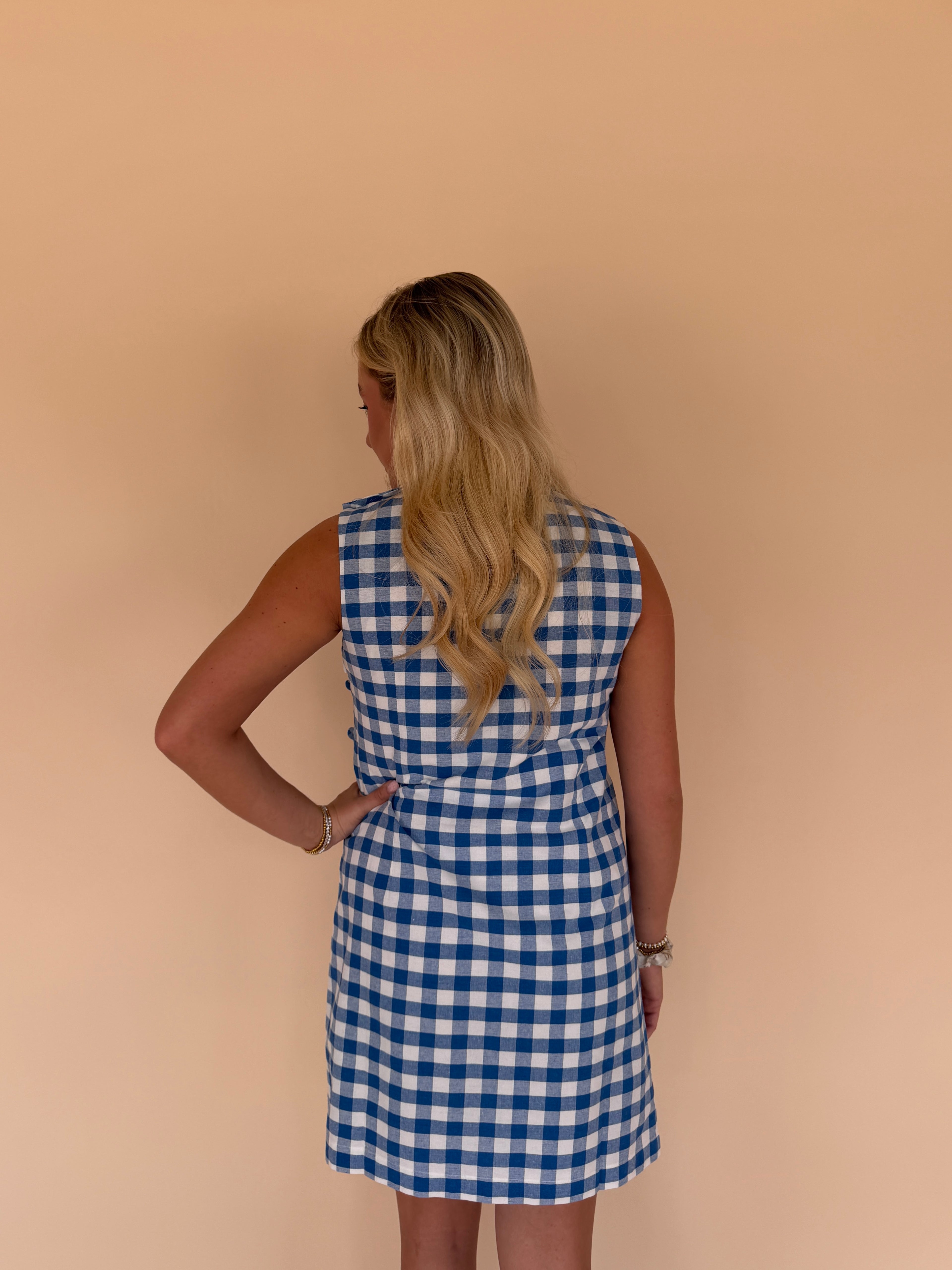 Gingham Mini Dress w/ Buttons