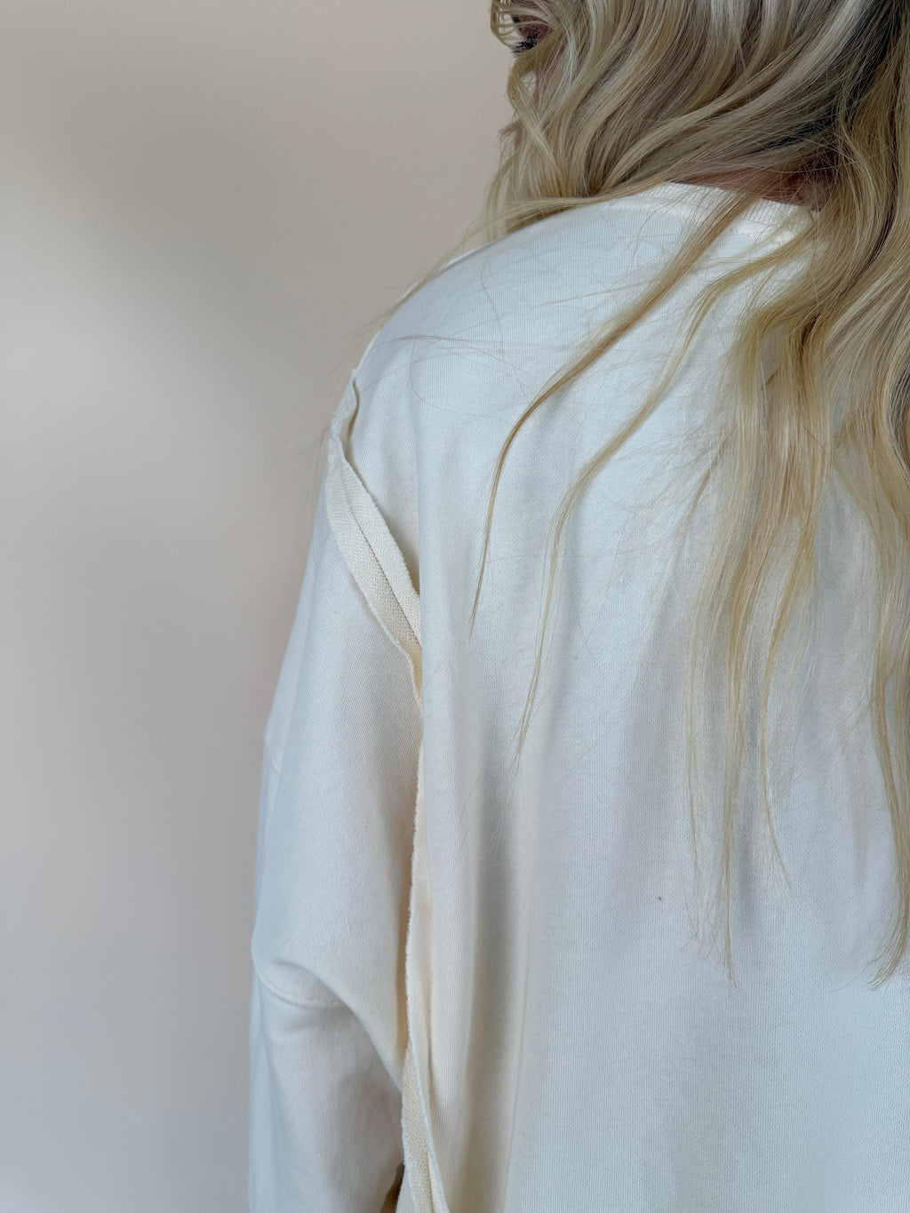 Stone Washed Duck Graphic Pullover
