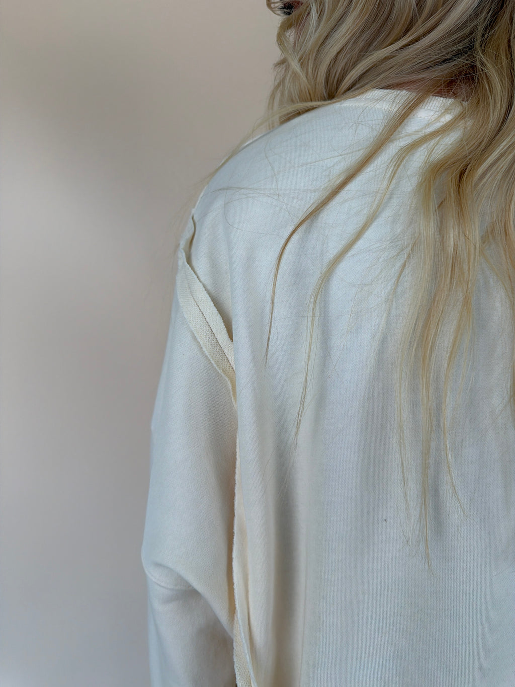 Stone Washed Duck Graphic Pullover