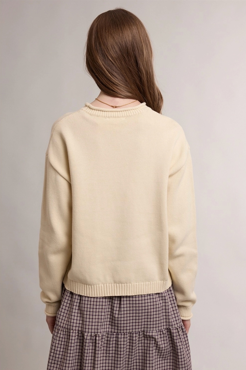 Fish Motif Graphic Crew Neck Sweater