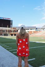 Polka Dot  Strapless Top