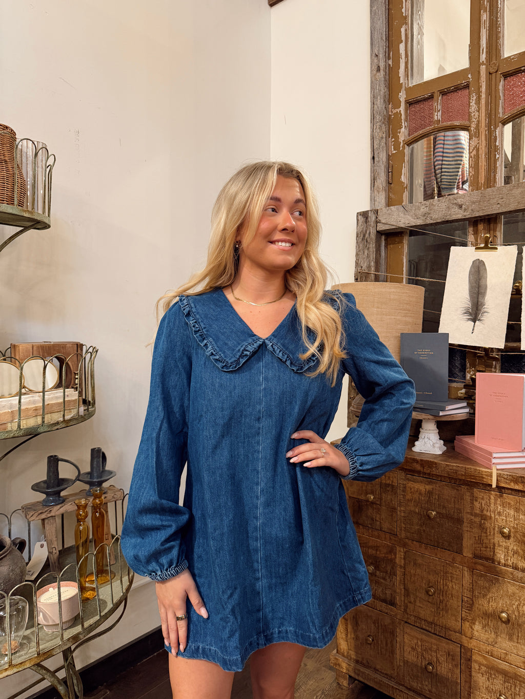 3047ND Peter Pan Collar Denim Dress