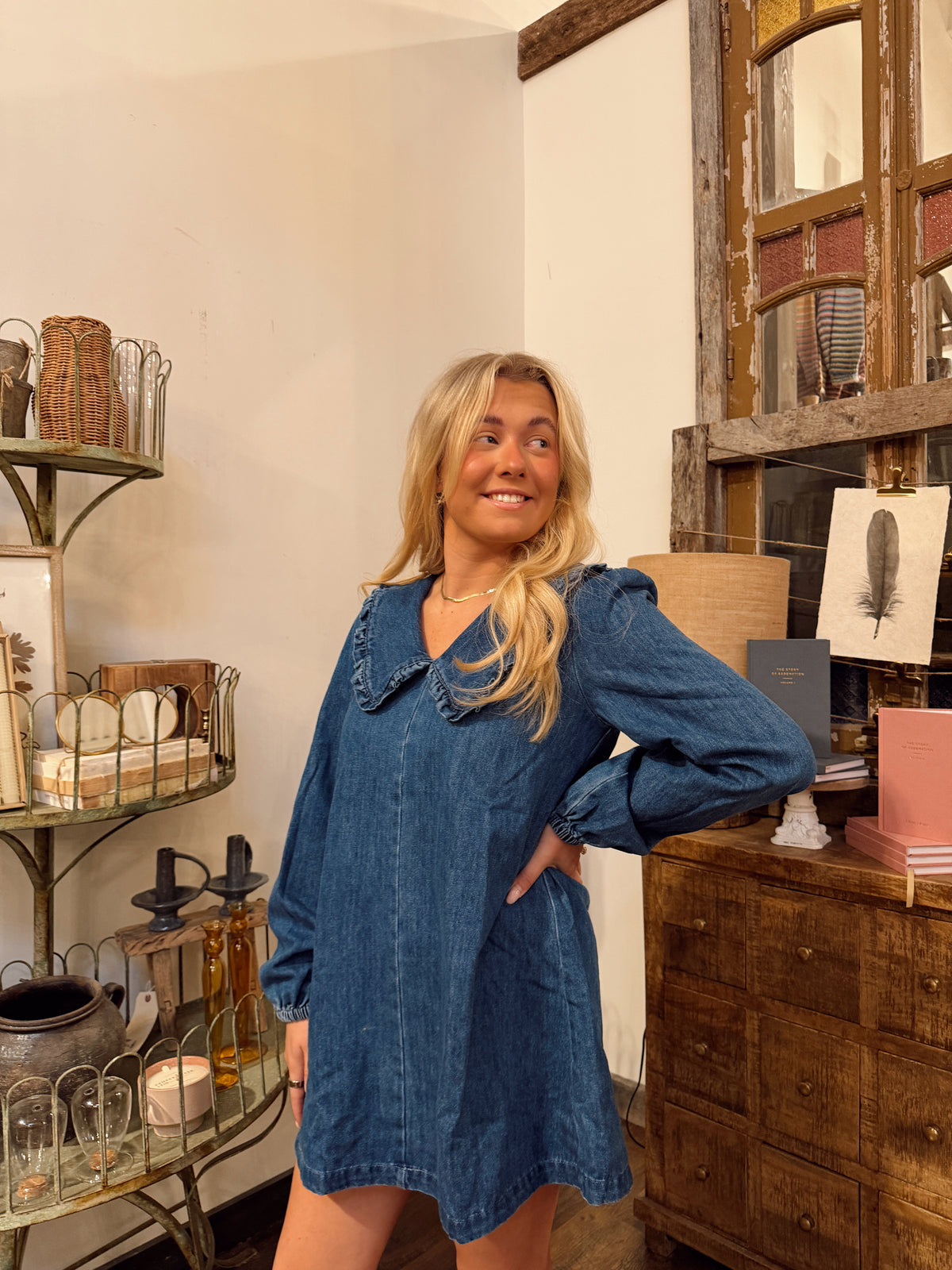 3047ND Peter Pan Collar Denim Dress