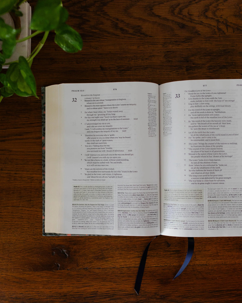 ESV Study Bible Abide