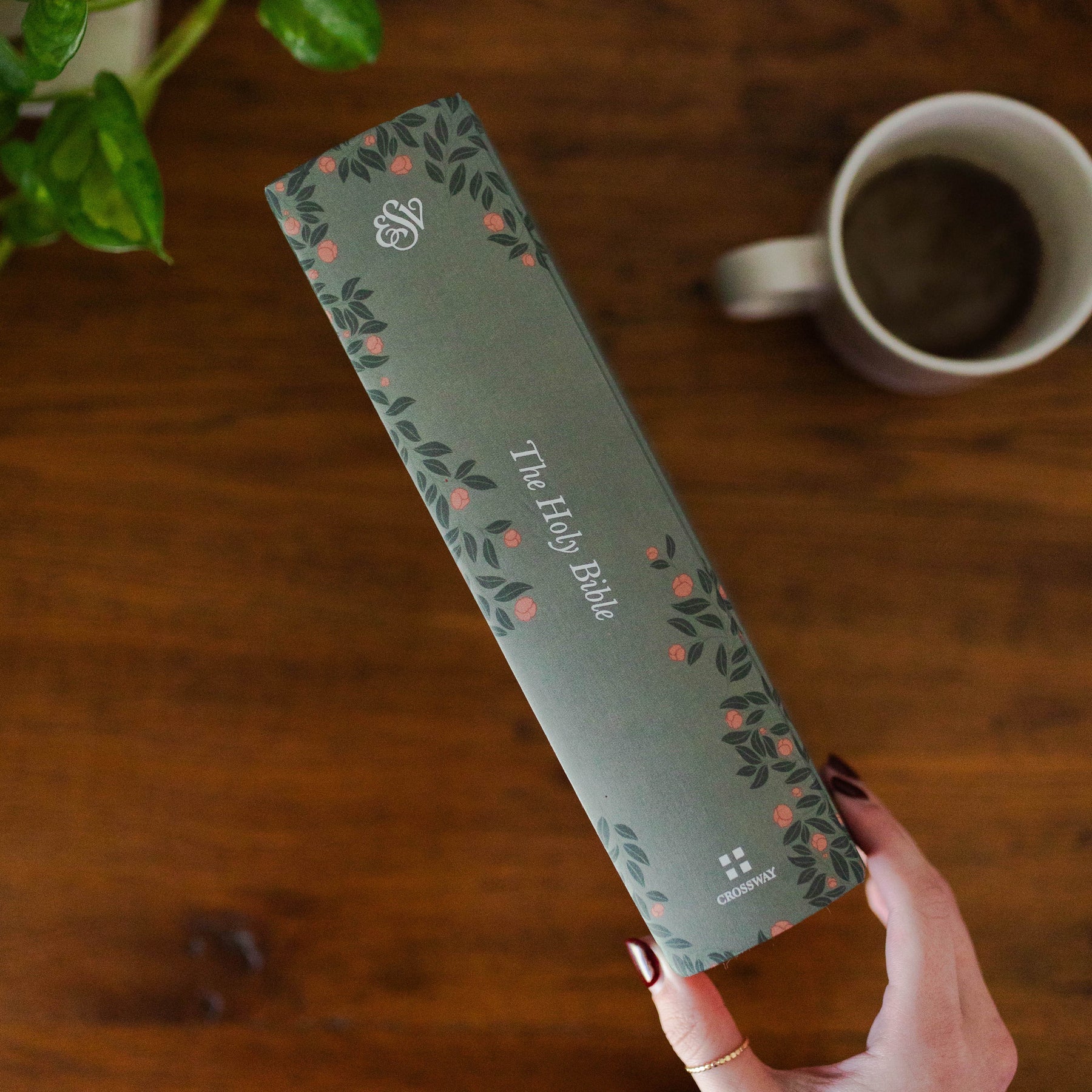 ESV Study Bible Abide